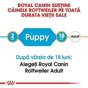 Royal Canin Rottweiler Puppy, hrana uscata caine junior, 12KG - Img 6