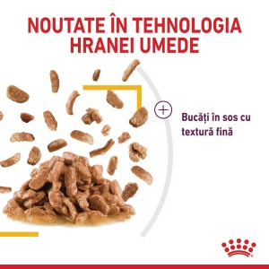 Royal Canin Sensory Taste, hrana umeda pisici, stimularea gustului (in sos), 12 x 85G - Img 7