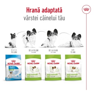 Royal Canin X-Small Adult, hrana uscata caine, 3KG - Img 4