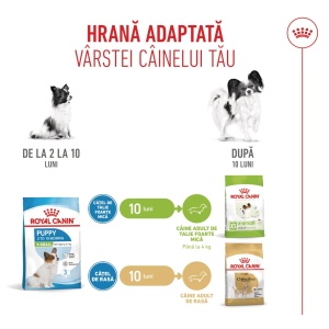 Royal Canin X-Small Puppy, hrana uscata caine junior, 1.5KG - Img 2