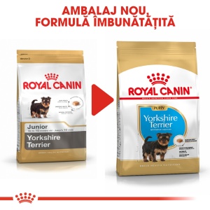 Royal Canin Yorkshire Puppy, hrana uscata caine junior, 500G - Img 8