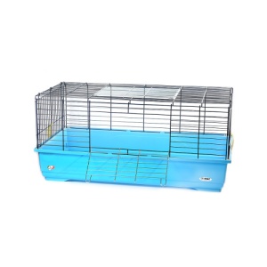 Cusca Cavia 100 Easy.
