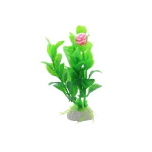 Planta decorativa pentru acvariu Enjoy Dracena Firebrand, 10 cm