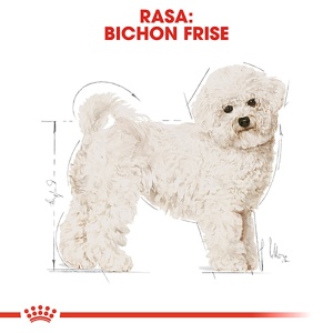 Royal Canin Bichon Frise Adult, hrana uscata caine, 1.5KG - Img 4