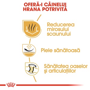 Royal Canin Bulldog Adult, hrana uscata caine, 3KG - Img 4