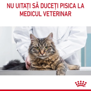 Royal Canin Digestive Care Adult, hrana uscata pisica, confort digestiv, 400G - Img 3