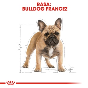 Royal Canin French Bulldog Adult, hrana uscata caine, 1.5KG - Img 3