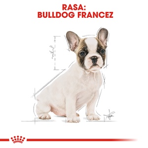 Royal Canin French Bulldog Puppy, hrana uscata caine junior, 3KG - Img 3