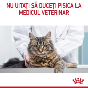 Royal Canin Hair&Skin Care Adult, hrana umeda pisica, piele si blana (in sos), 12 x 85G - Img 6