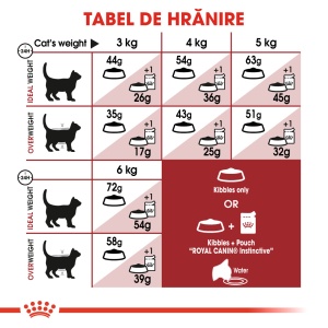 Royal Canin Indoor Adult, hrana uscata pisica de interior, 400G - Img 8