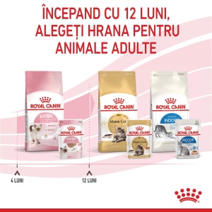Royal Canin Kitten, hrana umeda pisica junior (pate), 12 x 85G - Img 4