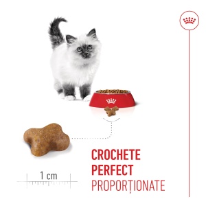 Royal Canin Kitten, hrana uscata pisica junior, 400G - Img 8