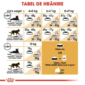Royal Canin Maine Coon Adult, hrana uscata pisica, 10KG - Img 8