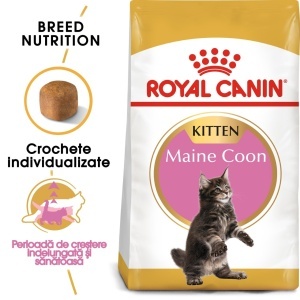 Royal Canin Maine Coon Kitten, hrana uscata pisica junior, 10KG