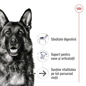 Royal Canin Maxi Ageing 8+, hrana uscata caine senior, 15KG - Img 3