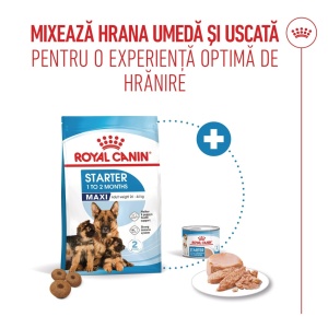 Royal Canin Maxi Starter Mother & BabyDog, mama si puiul, hrana uscata caini, 15KG - Img 6