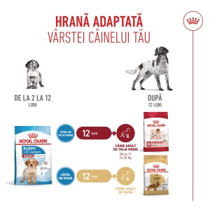 Royal Canin Medium Puppy, hrana uscata caine junior, 12KG - Img 6