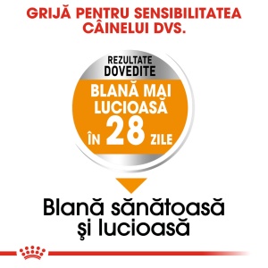 Royal Canin Mini Coat Care Adult, hrana uscata caine, blana sanatoasa si lucioasa, 3KG - Img 6
