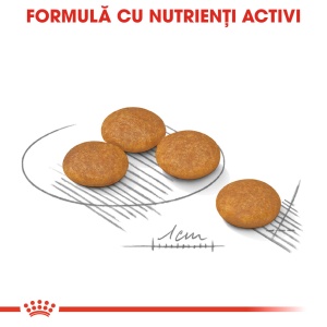 Royal Canin Mini Dermacomfort, hrana uscata caine, prevenirea iritatiilor pielii, 1KG - Img 4