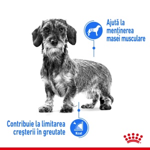 Royal Canin Mini Light Weight Care Adult, hrana uscata caine, limitarea cresterii in greutate, 3KG - Img 3