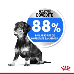 Royal Canin Mini Light Weight Care Adult, hrana uscata caine, limitarea cresterii in greutate, 8KG - Img 5