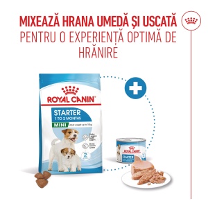 Royal Canin Mini Starter Mother & BabyDog, mama si puiul, hrana uscata caini, 1KG - Img 7