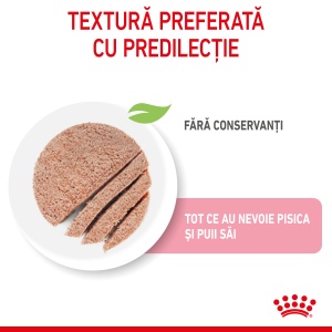 Royal Canin Mother & BabyCat, hrana umeda pisica, mama si puiul (textura spumoasa), 195G - Img 6