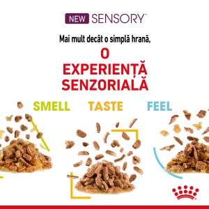 Royal Canin Sensory Smell, hrana umeda pisici, stimularea mirosului (in sos), 12 x 85G - Img 8