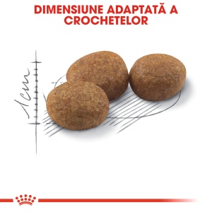 Royal Canin Sterilised Adult, hrana uscata pisica sterilizata, 4KG - Img 3
