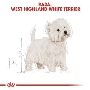 Royal Canin West Highland Terrier, Adult hrana uscata caine Westie, 3KG - Img 3