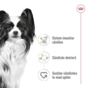 Royal Canin X-Small Adult, hrana uscata caine, 3KG - Img 2
