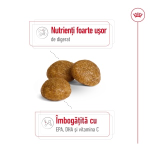 Royal Canin X-Small Adult, hrana uscata caine, 500G - Img 10