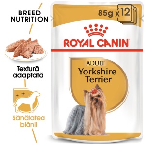 Royal Canin Yorkshire Terrier Adult, hrana umeda caine (pate), 12 x 85 g