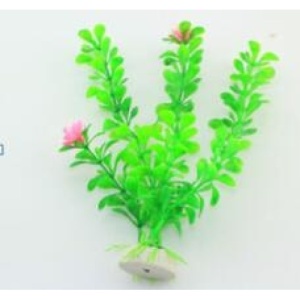 Planta decorativa pentru acvariu Enjoy Egeria, 20 cm