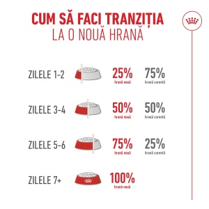 Royal Canin Ageing 11 +, hrana uscata pentru pisici senioare, 4KG - Img 6