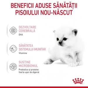 Royal Canin BabyCat Milk ,inlocuitor lapte matern pisica, 300G - Img 6
