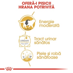 Royal Canin British Shorthair Adult, hrana umeda pisica (in sos), 12 x 85G - Img 5