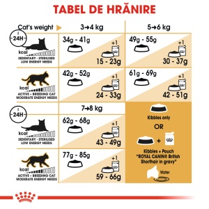 Royal Canin British Shorthair Adult, hrana uscata pisica, 400G - Img 7