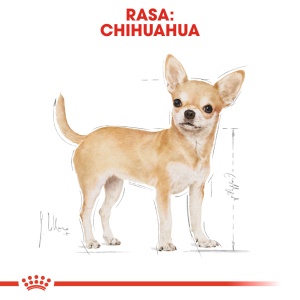 Royal Canin Chihuahua Adult, hrana umeda caine (pate), 12 x 85 g - Img 3