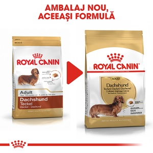 Royal Canin Dachshund Adult, hrana uscata caine Teckel, 1.5KG - Img 8