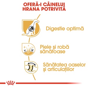 Royal Canin German Shepherd Adult, hrana uscata caine Ciobanesc German, 3KG - Img 5