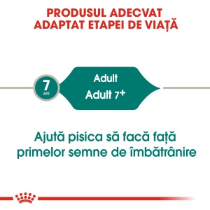 Royal Canin Instinctive 7+, hrana umeda pisica (in sos), 12 x 85G - Img 8