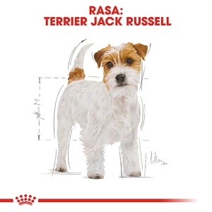 Royal Canin Jack Russell Terrier Adult, hrana uscata caini, 1.5KG - Img 3