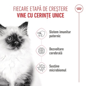 Royal Canin Kitten, hrana uscata pisica junior, 10KG - Img 4