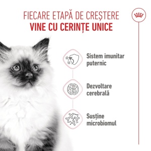 Royal Canin Kitten, hrana uscata pisica junior, 4KG - Img 4
