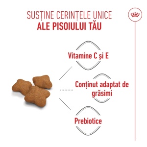 Royal Canin Kitten Sterilised, hrana uscata pisica sterilizata junior, 2KG - Img 8