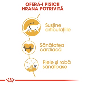 Royal Canin Maine Coon Adult, hrana uscata pisica, 10KG - Img 5