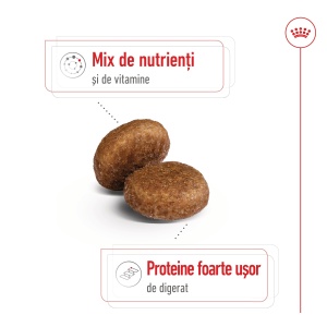 Royal Canin Maxi Adult 5+, hrana uscata caine, 4KG - Img 8