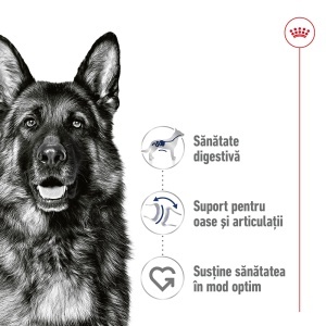 Royal Canin Maxi Adult, hrana umeda caine (in sos), 10 x 140G - Img 3