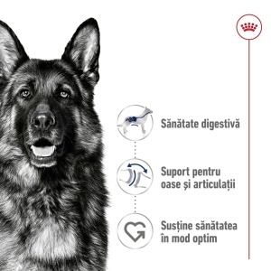 Royal Canin Maxi Adult, hrana uscata caine, 15KG - Img 4